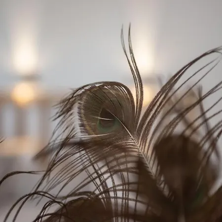 Aqua Naxos & Pensionat