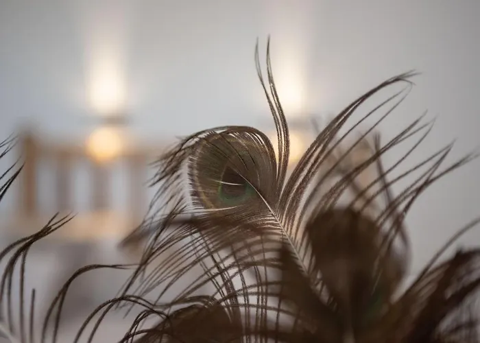 Aqua Naxos & Konukevi